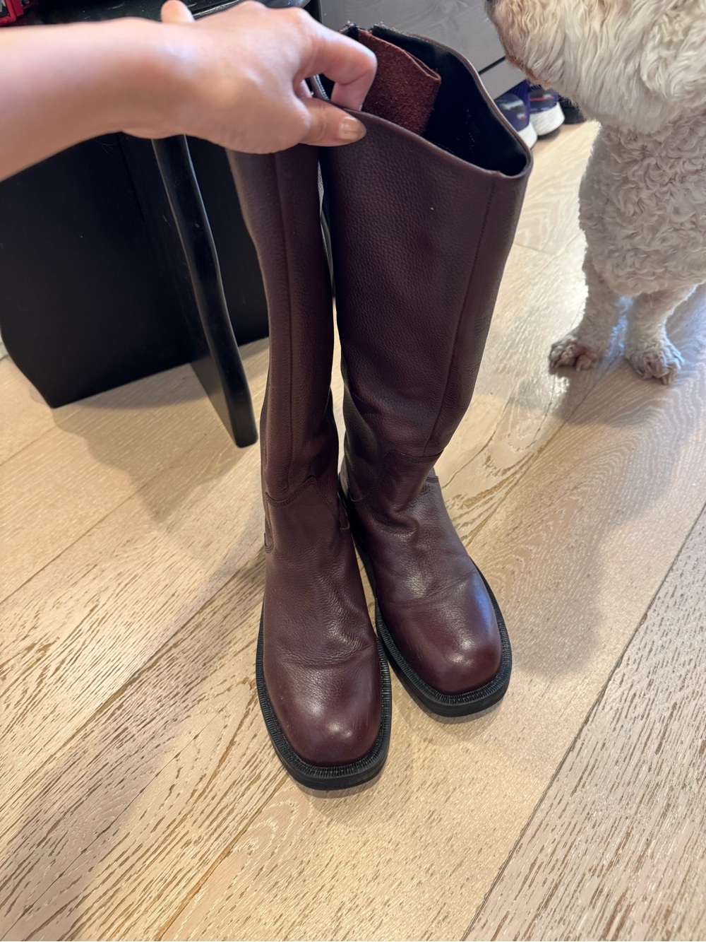 Zara Burgundy Over-the-Knee Leather Boots